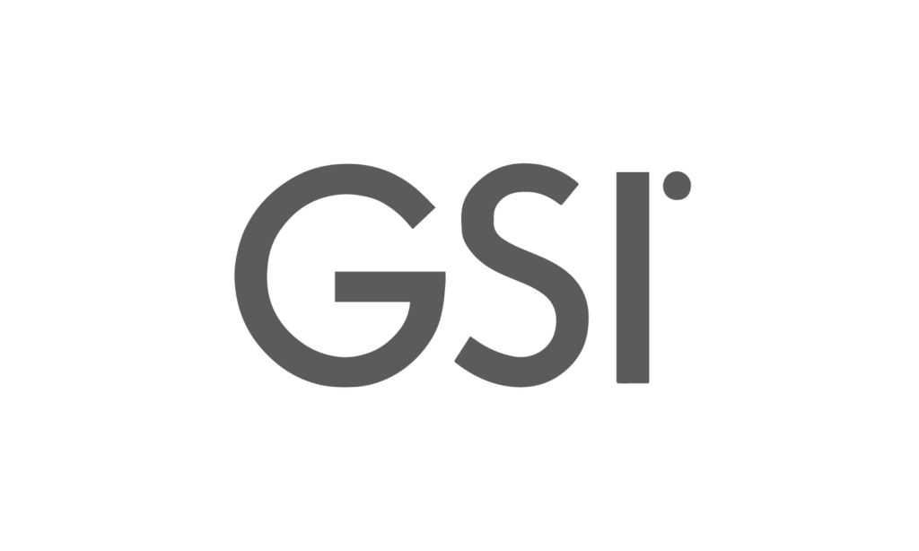 gsi logo